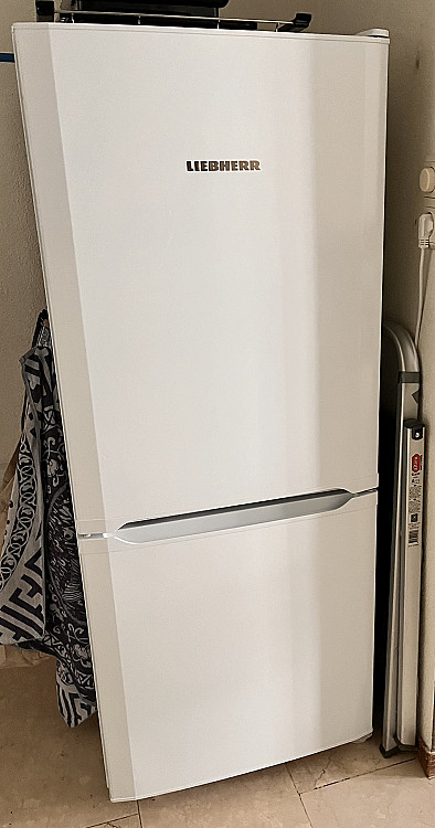 Refrigirator with freezer
