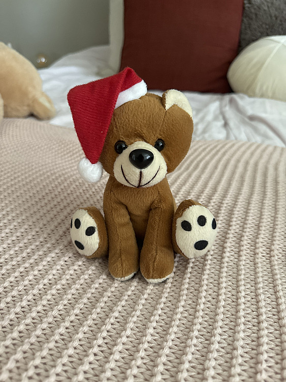 Christmas bear cuddly toy