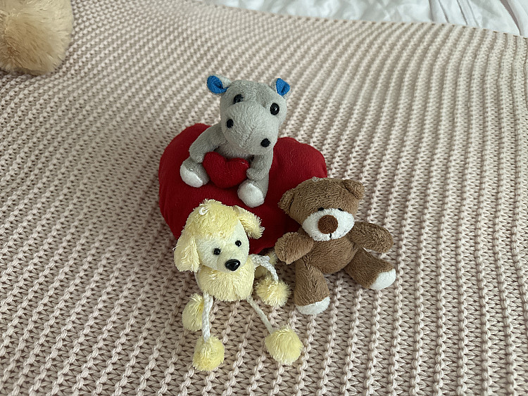 Три маленькие мягкие игрушки