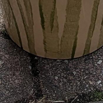 pots de fleurs