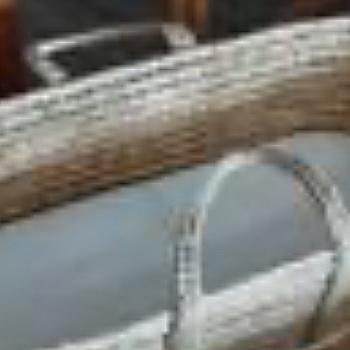 ሙሴ መሶብ ሓዊሱ። ደው ምባል