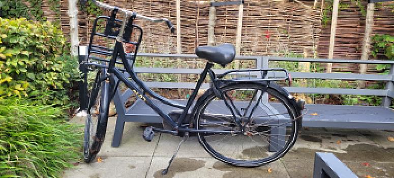 Aldo (granny) bicycle with rack