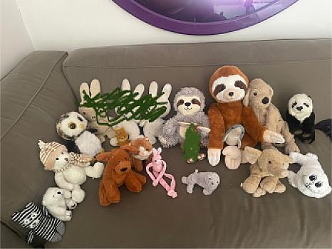 25 peluches mignonnes et lavées