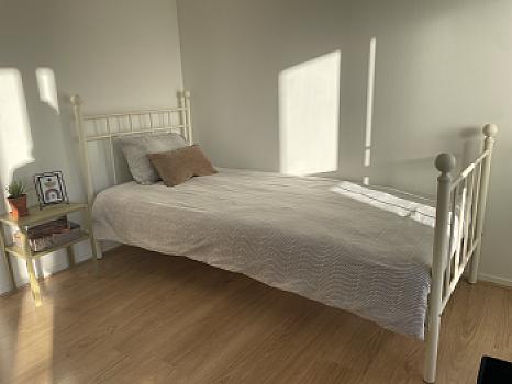 ንጽል ዓራት ምስ ፍራሽ