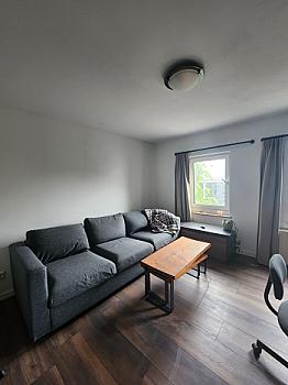 Three-seater sofa gray